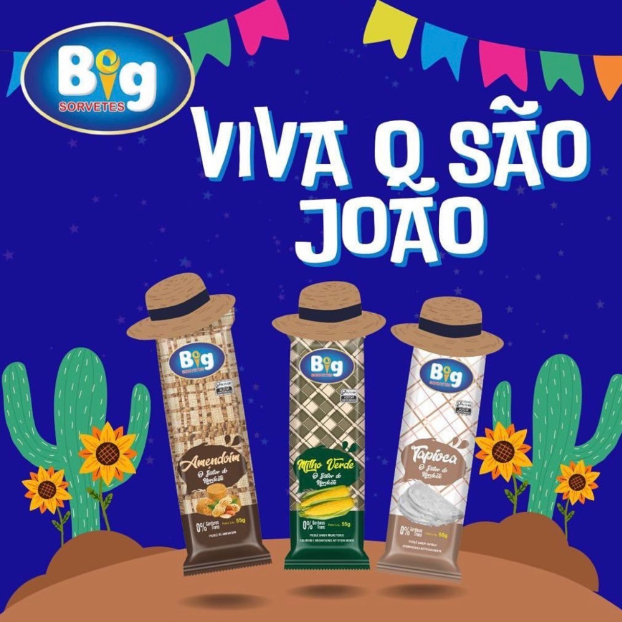 PICOLE O SABOR DO NORDESTE