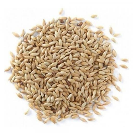 Alpiste (100g)