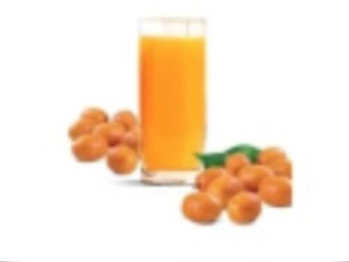 Suco coquinho 500ml
