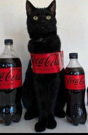 CAT - COCA COLA