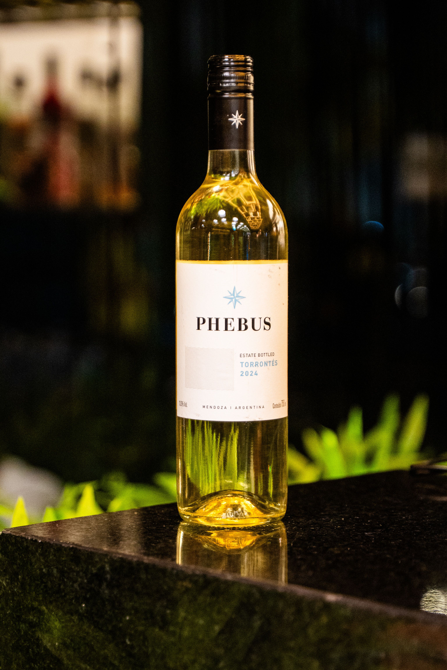 PHEBUS ESTATE TORRONTES 