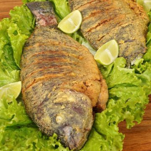 COMBO PEIXE