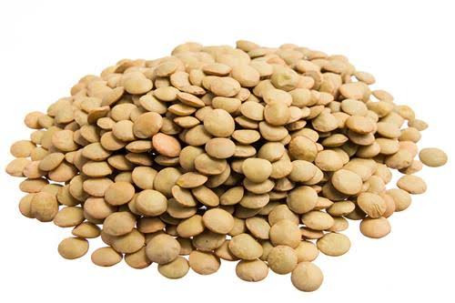 Lentilha (100g)