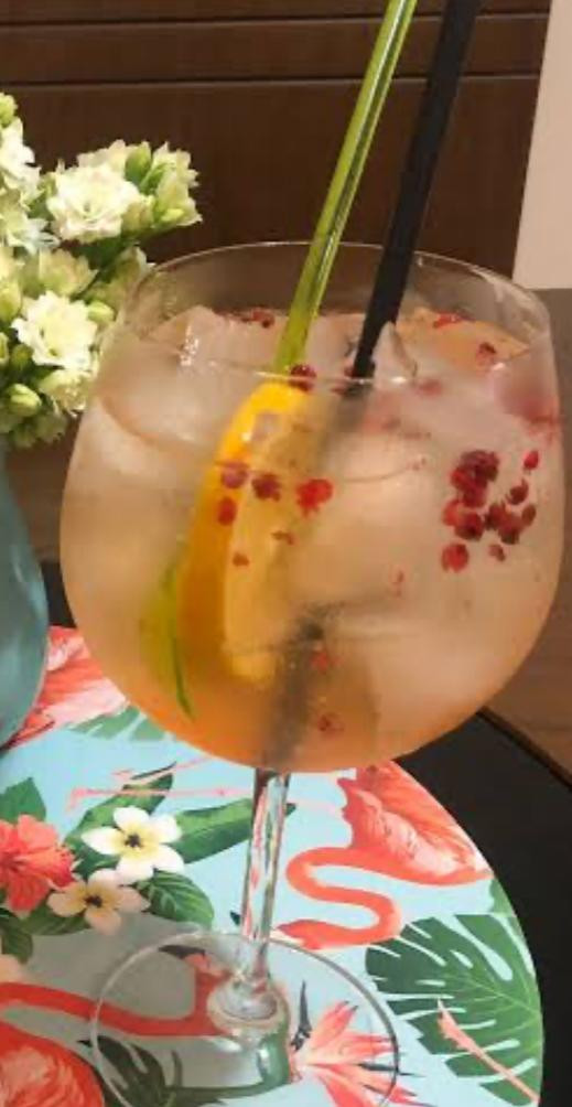 GIN TONICA C/ LARANJA