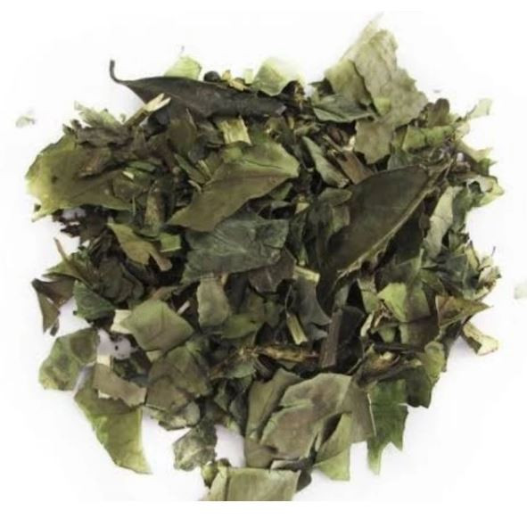 CHA VERDE KG