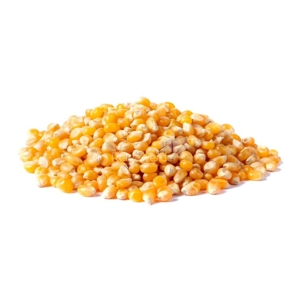 PIPOCA PREMIUM ORGÂNICA