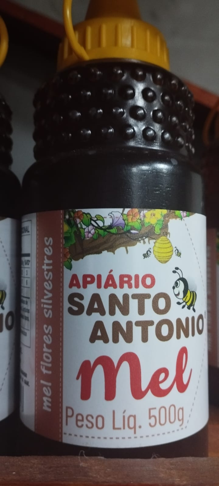 MEL APIÁRIO SANTO ANTÔNIO 