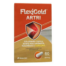 Flexigold Artri Colageno Tipo 2 60caps 40g