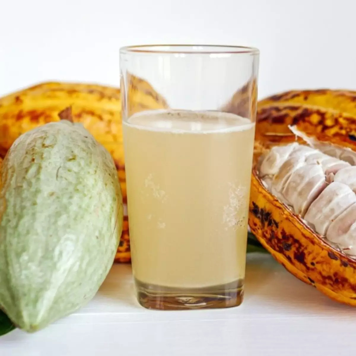 SUCO DE CACAU