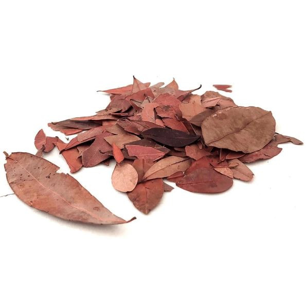 INSULINA VEGETAL KG