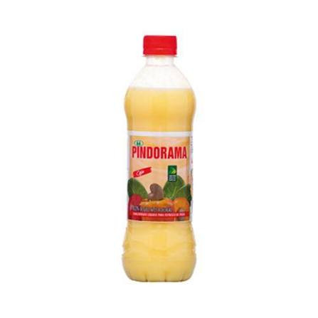 Suco Conc Pindorama Caju 1l