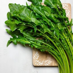 CHICORIA