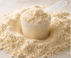 WHEY PROTEIN
