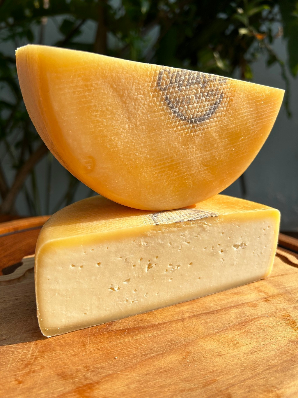 Queijo Canastra Artesanal