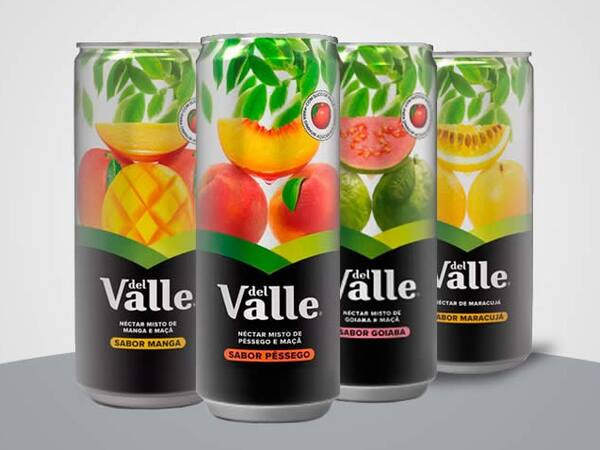 SUCO DEL VALLE 290ML LATA