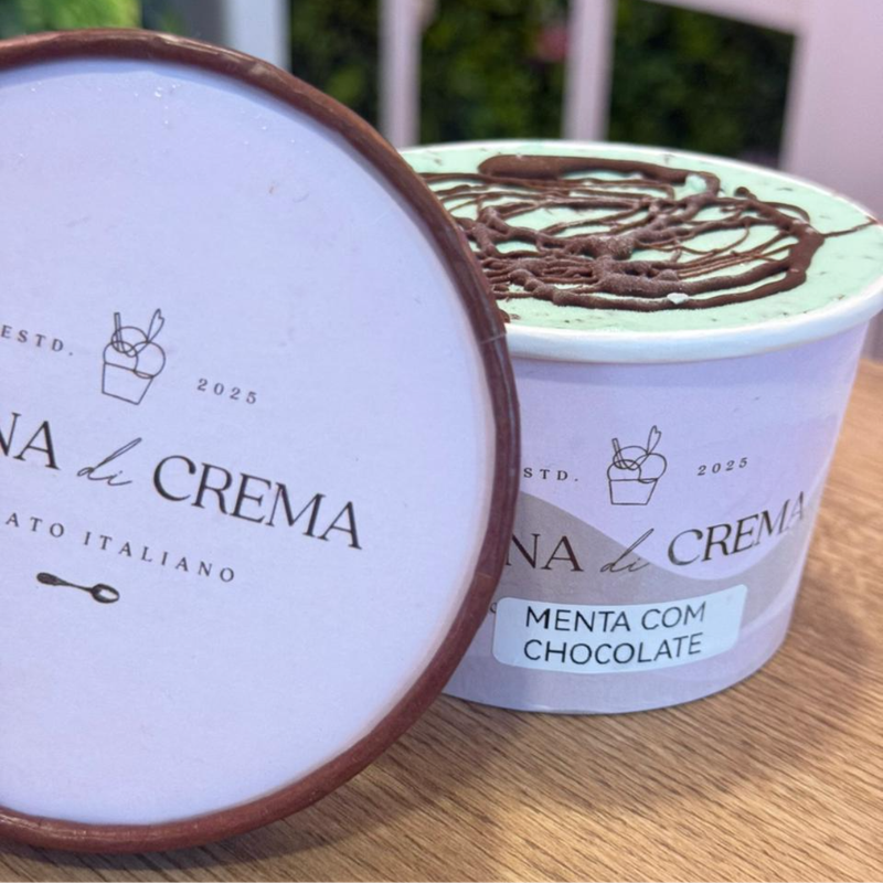 MENTA COM CHOCOLATE 220ML