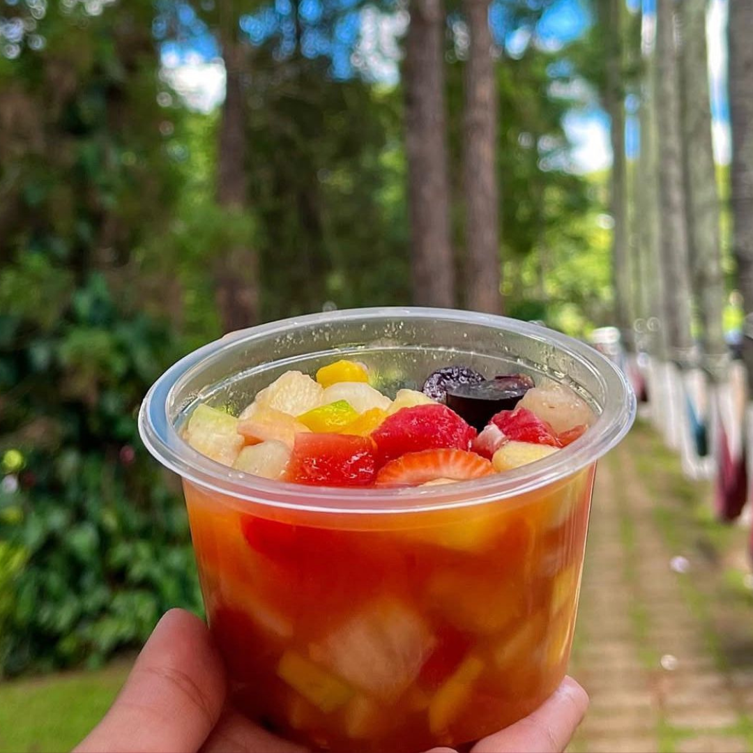 SALADA DE FRUTA