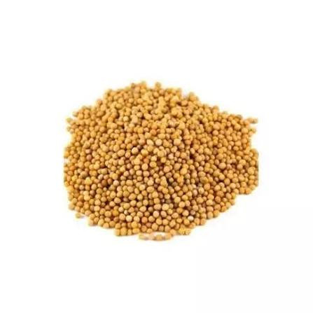 Semente De Mostarda (100g)