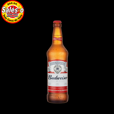 Budweiser long neck