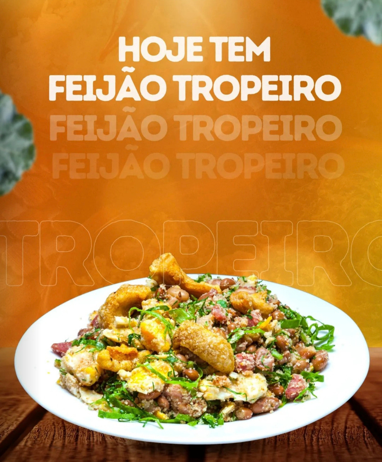 FEIJAO TROPEIRO G