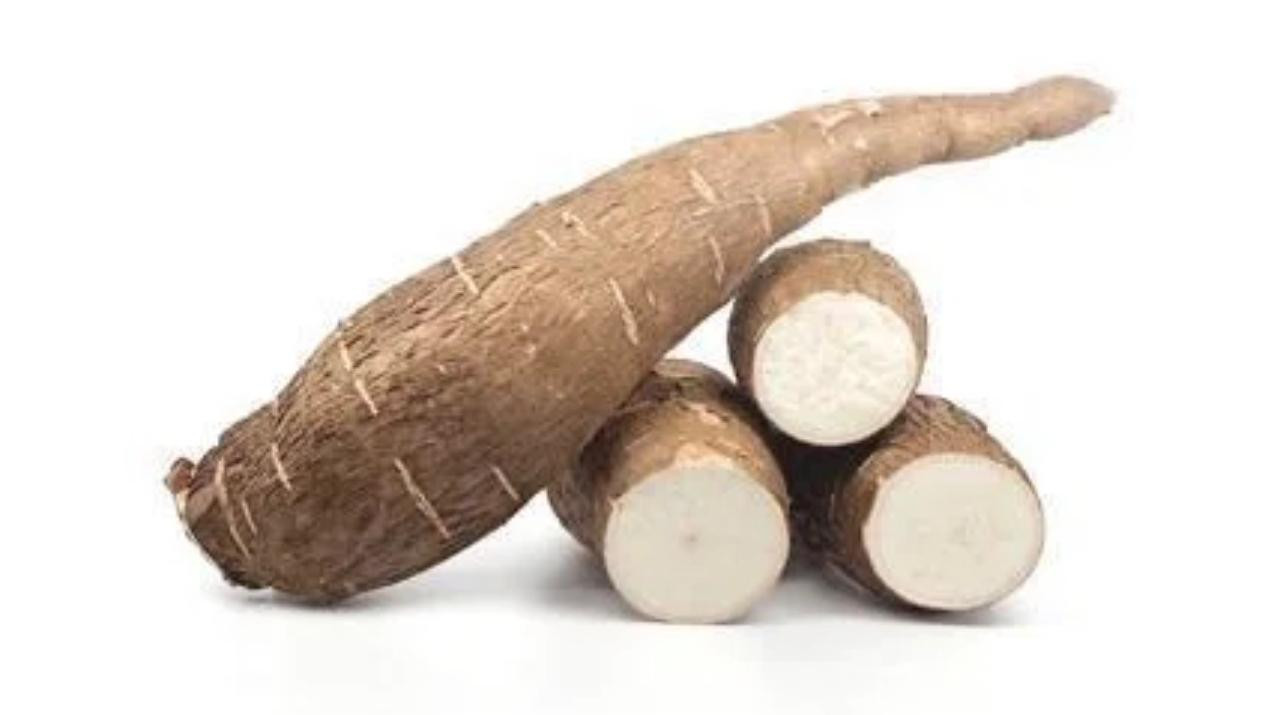 Mandioca 