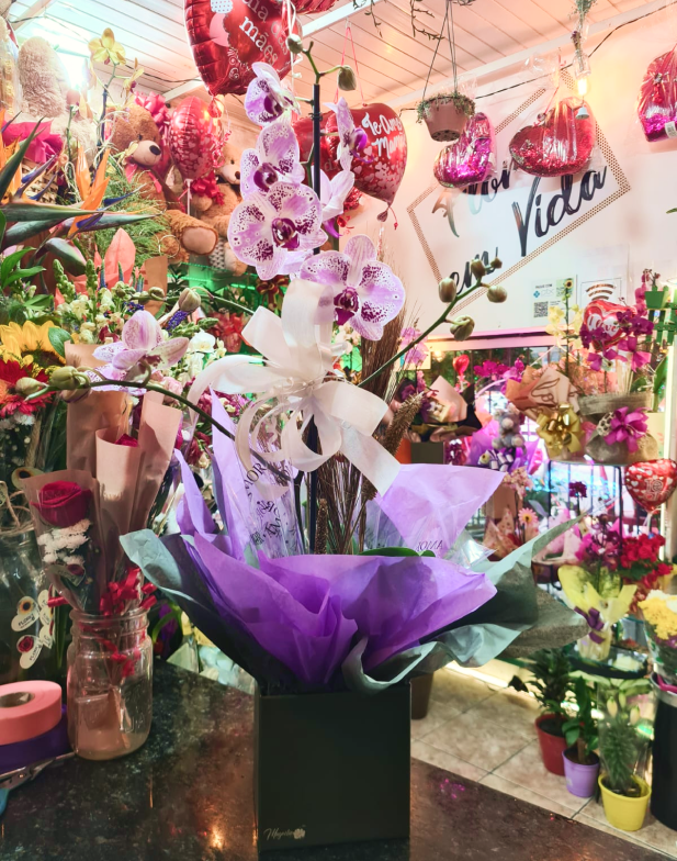  Orquídea grande em vaso
