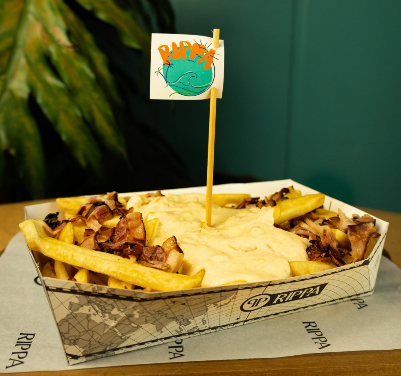 FRITAS ESPECIAL