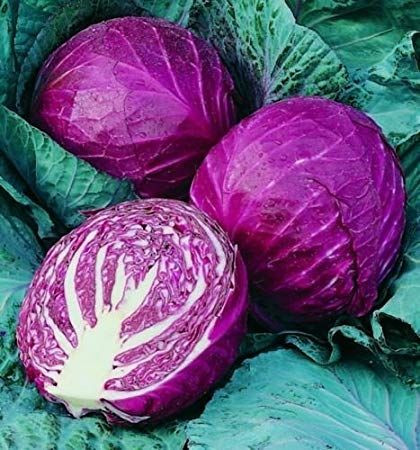 Repolho roxo 100G