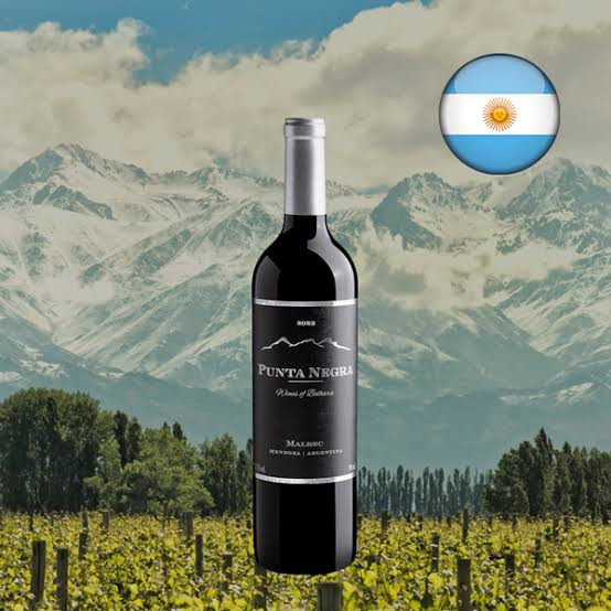 Punta Negra MALBEC 