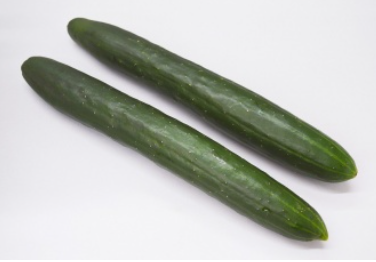 PEPINO JAPONÊS