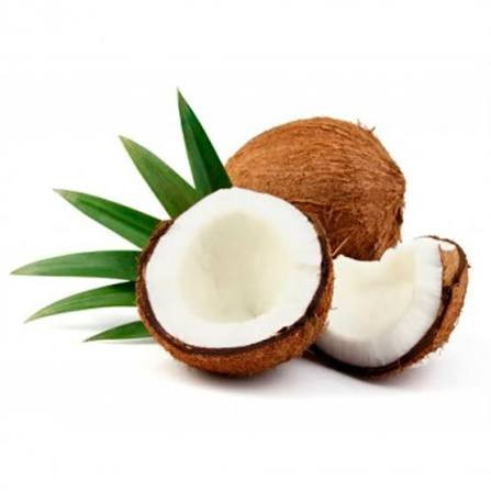 COCO SECO KG