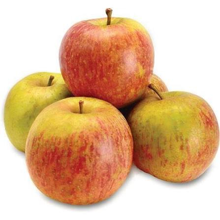 MACA NACIONAL OFERTA