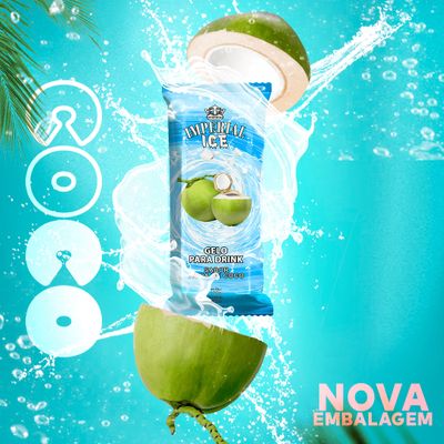 Gelo Saborizado Água Coco 190g