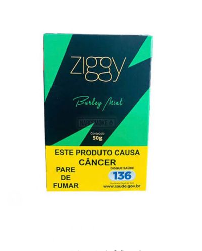 ZIGGY BURLEY MINT 