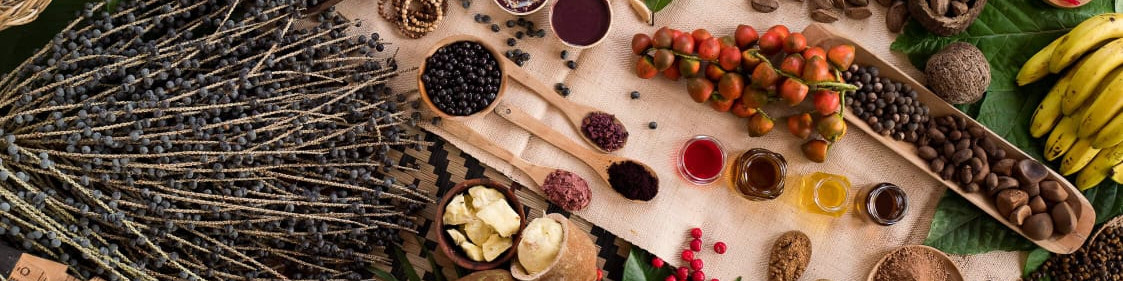 Delicias do Para 