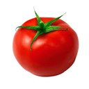 TOMATE UN