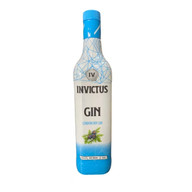 GIN INVICTUS ABACAXI E HORTELÃ