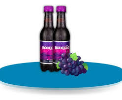 CHOOP BODEGÃO PET 300 ML