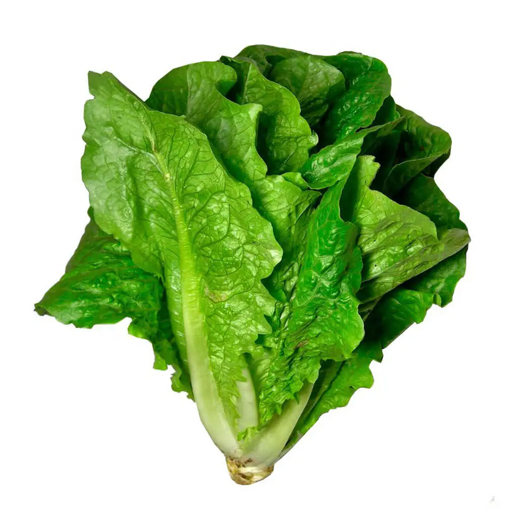 VERDURA ALMERÃO