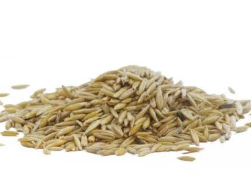 Aveia 40Kg