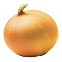 CEBOLA
