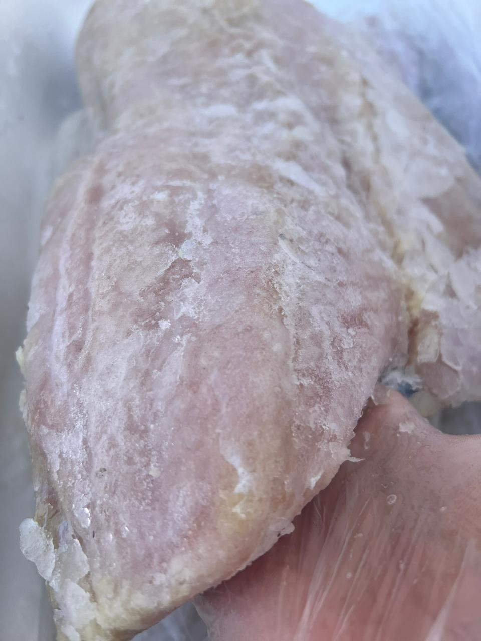 Filé de bacalhau saith (500g)