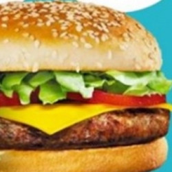 Brutus X-bacon (carne/frango/picanha)
