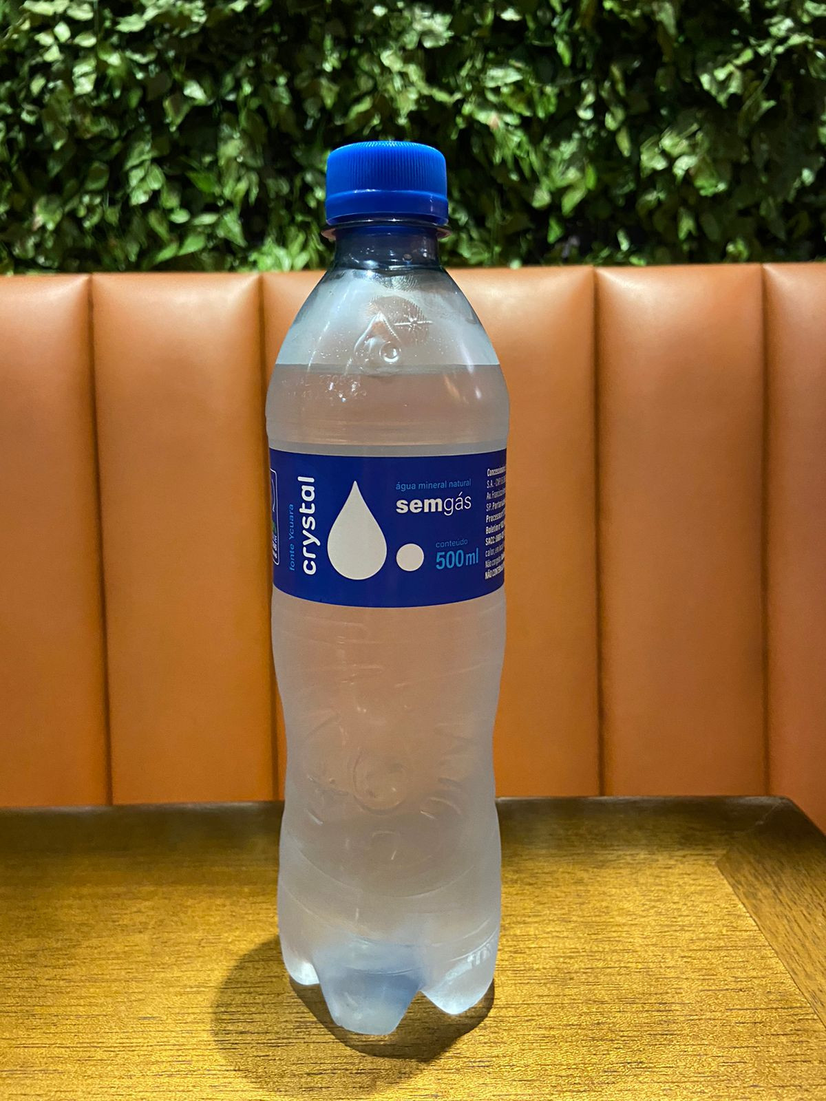 AGUA MINERAL SEM GAS 500 ML
