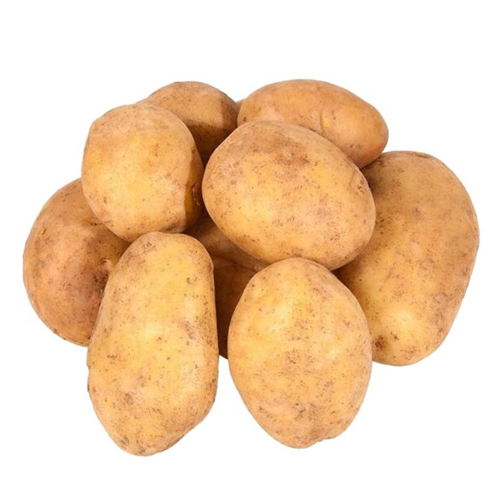 PRODUTO DEMOSTRACAO 25355