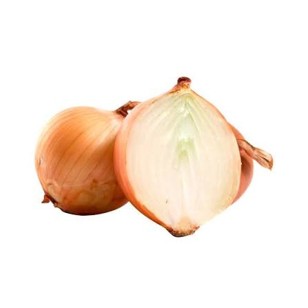 CEBOLA ARGENTINA KG