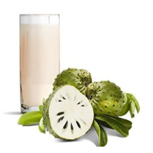 SUCO GRAVIOLA 300ML