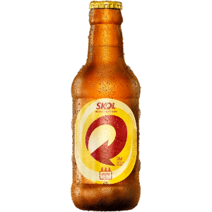 SKOL PILSEN 300ML COM GARRAFA