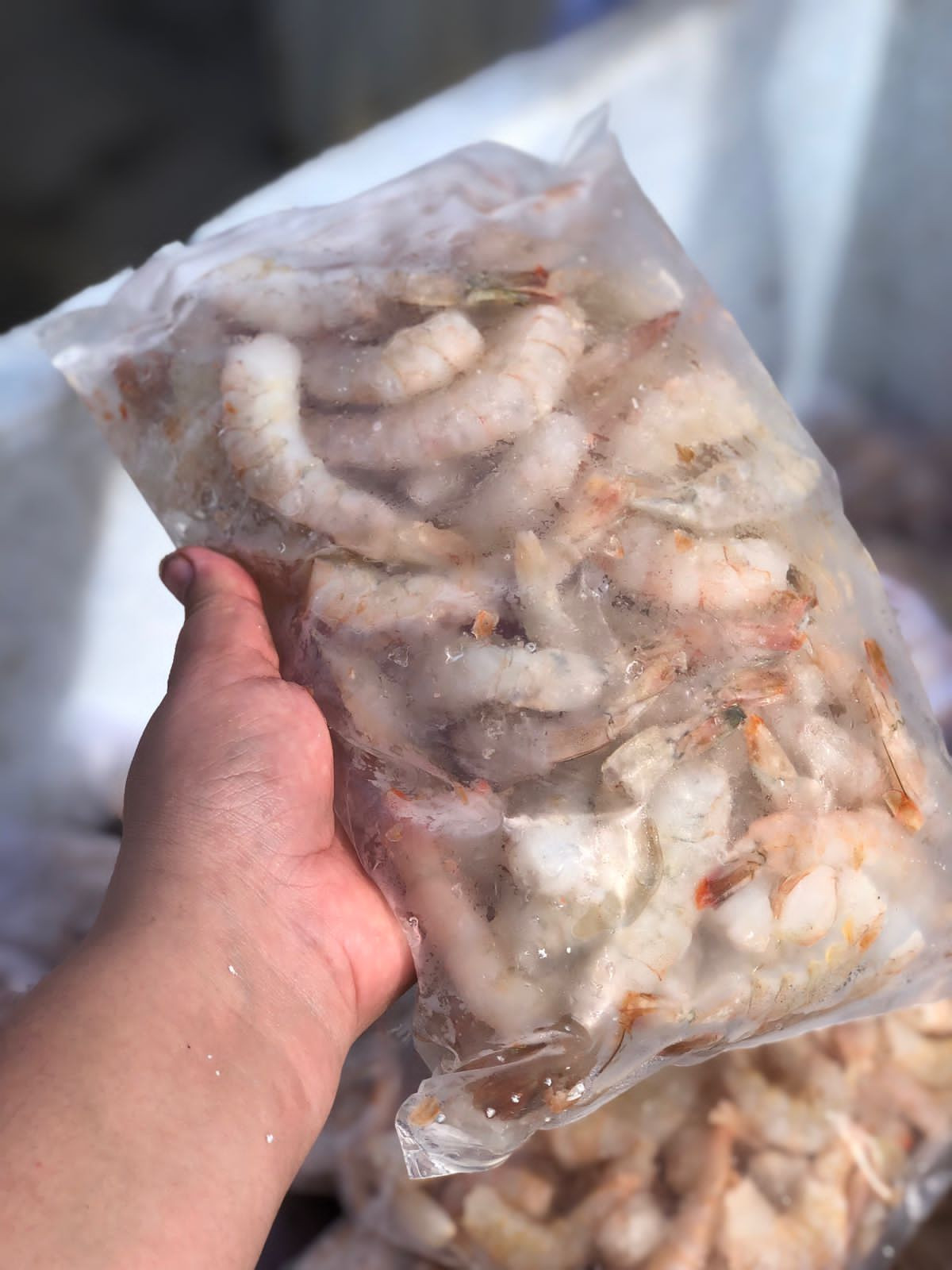 Filé de camarão branco G (com rabinho) - (1kg)