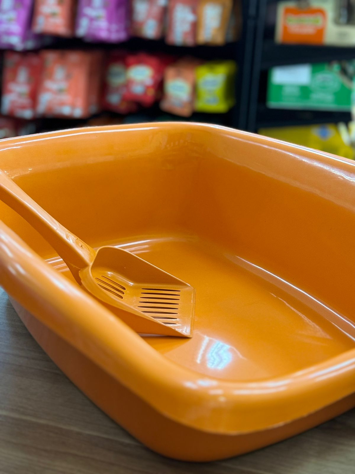 Caixa de areia Funda Laranja com Pá 